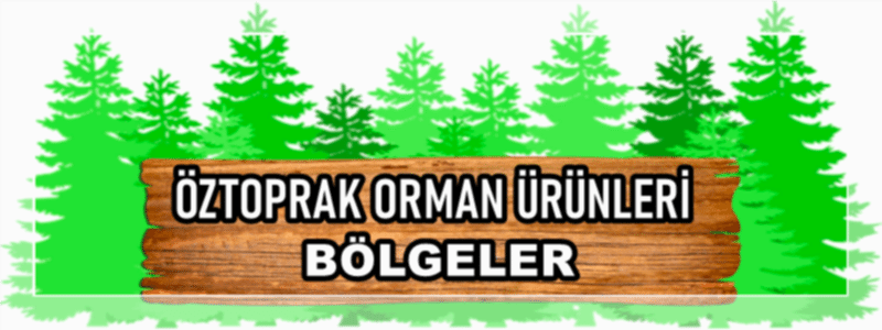 BÖLGELER BÖLGELER