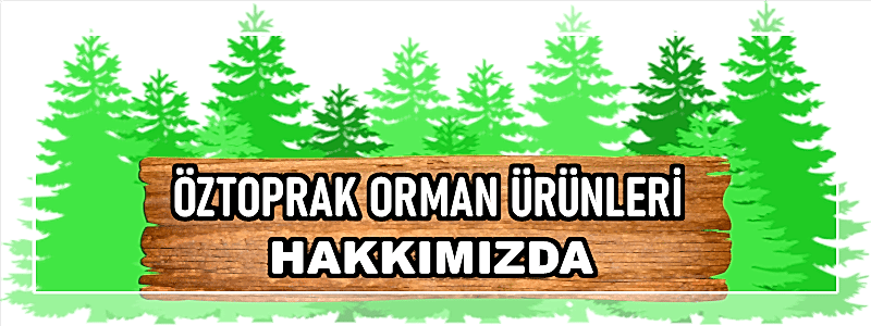 HAKKIMIZDA