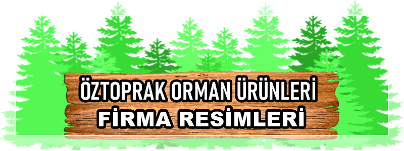 FİRMA RESİMLERİ